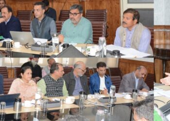 CS Dulloo reviews progress on solarization of houses & govt buildings in J&K