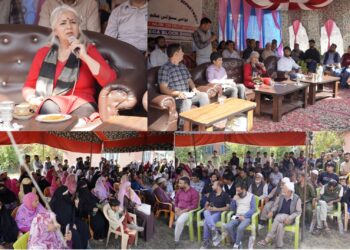 DDC Bandipora chairs Mega Block Diwas at Ajas, reviews developmental issues
