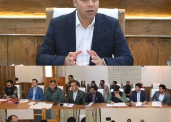 DC Anantnag chairs District Telecom Committee Meeting