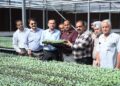 Director Agriculture inaugurates distribution of Hybrid Vegetable Seedlings at Centre of Excellence