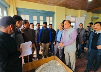 Autumn Silk Cocoon Auction Market commences at Srinagar