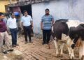 Central Team reviews Lumpy Skin Disease situation in J&K