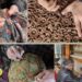 Textiles Ministry releases ₹30.46 lakh for improved toolkits, upskilling of artisans