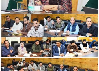 Director Information reviews functioning of DICs across Kashmir division