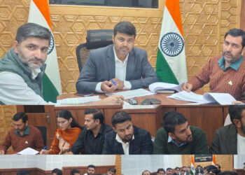 DC Rajouri reviews RDD Sector; Directs expediting of tendering, execution and creation of durable assets
