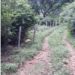 Forest Department retrieves 150 kanal forest land in Raika area