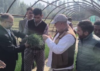 Dir Agri Kashmir inaugurates sale of Onion Seedlings at Gangbugh for farming Community